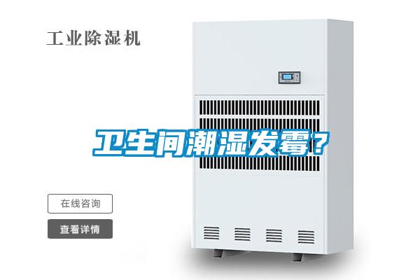 衛(wèi)生間潮濕發(fā)霉?