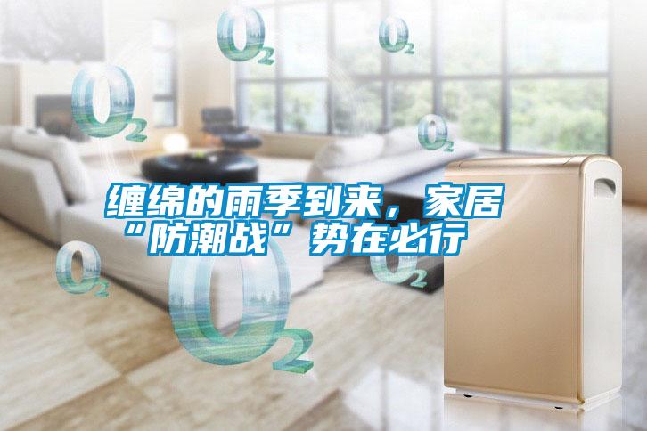 纏綿的雨季到來，家居“防潮戰”勢在必行