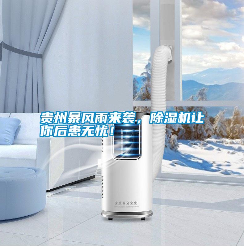 貴州暴風(fēng)雨來襲,除濕機讓你后患無憂!