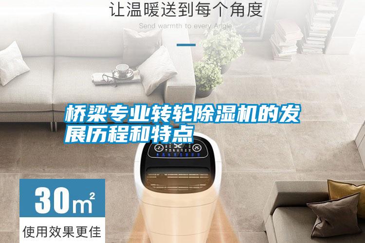 橋梁專業(yè)轉(zhuǎn)輪除濕機(jī)的發(fā)展歷程和特點