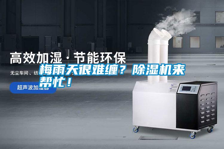 梅雨天很難纏?除濕機來幫忙!