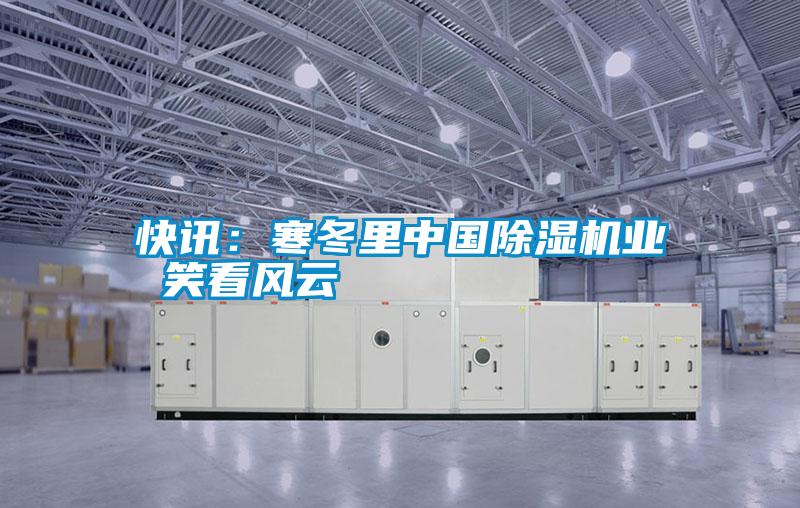 快訊:寒冬里中國(guó)除濕機(jī)業(yè) 笑看風(fēng)云