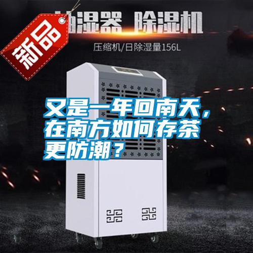 又是一年回南天,在南方如何存茶更防潮?