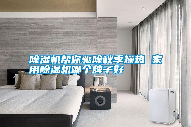 除濕機幫你驅除秋季燥熱 家用除濕機哪個牌子好