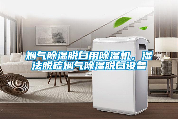 煙氣除濕脫白用除濕機(jī),濕法脫硫煙氣除濕脫白設(shè)備