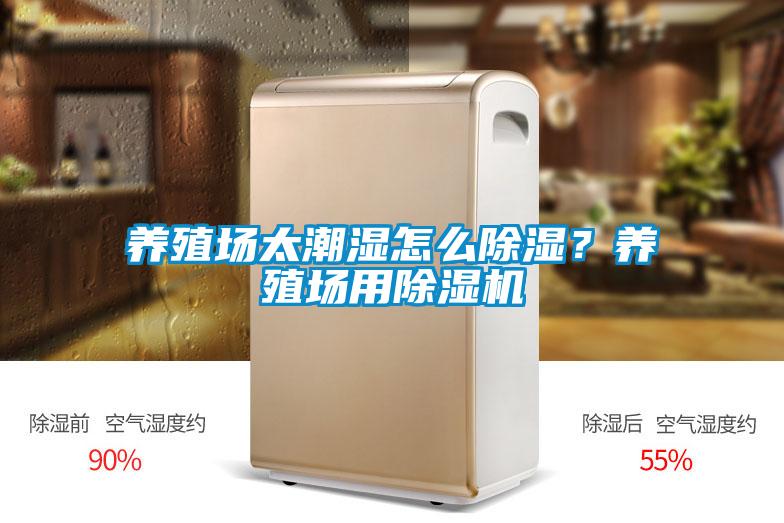 養(yǎng)殖場(chǎng)太潮濕怎么除濕?養(yǎng)殖場(chǎng)用除濕機(jī)