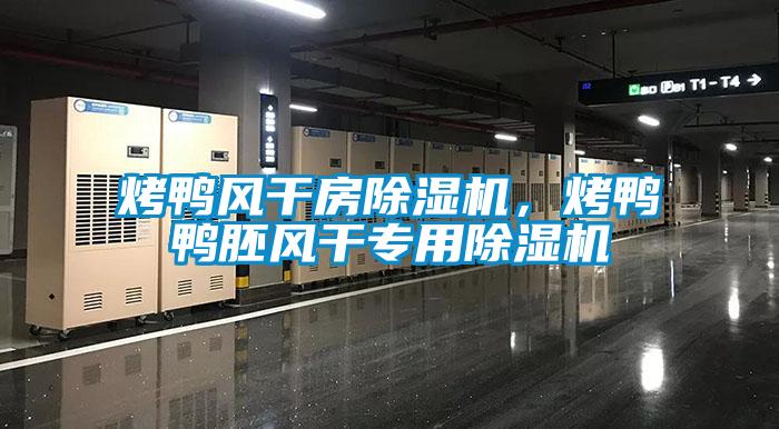 烤鴨風干房除濕機,烤鴨鴨胚風干專用除濕機