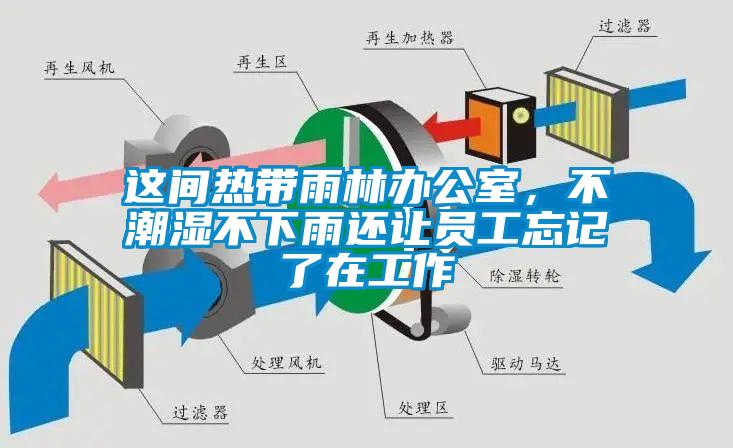 這間熱帶雨林辦公室,不潮濕不下雨還讓員工忘記了在工作