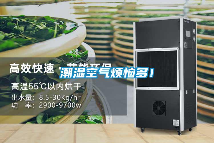 潮濕空氣煩惱多!