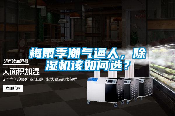 梅雨季潮氣逼人,除濕機該如何選?