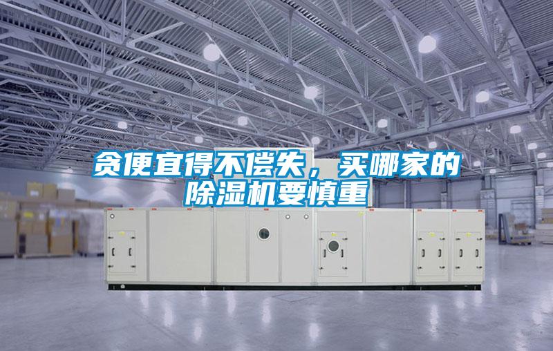 貪便宜得不償失,買哪家的除濕機(jī)要慎重