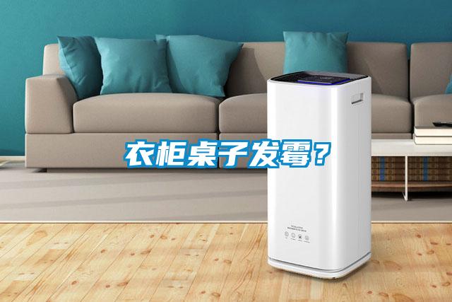 衣柜桌子發霉？