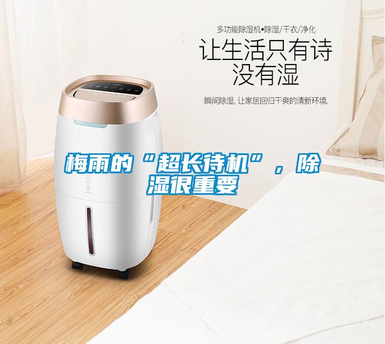 梅雨的“超長待機”，除濕很重要