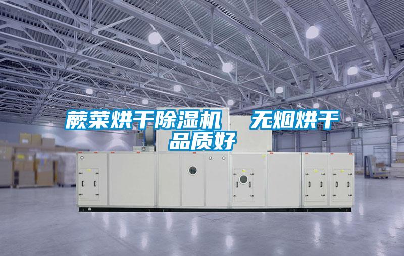 蕨菜烘干除濕機 無煙烘干品質好