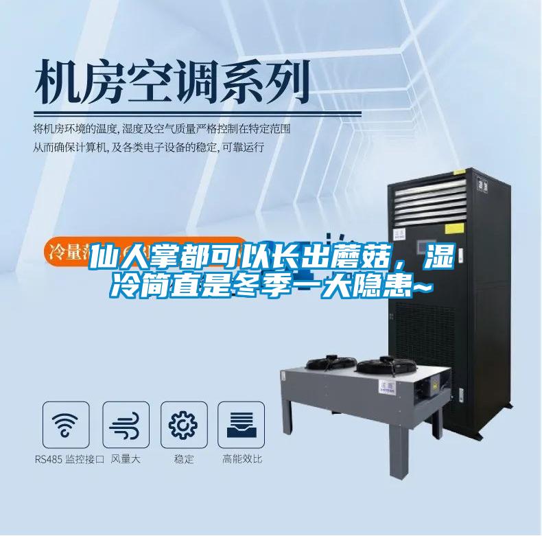 仙人掌都可以長出蘑菇,濕冷簡直是冬季一大隱患~