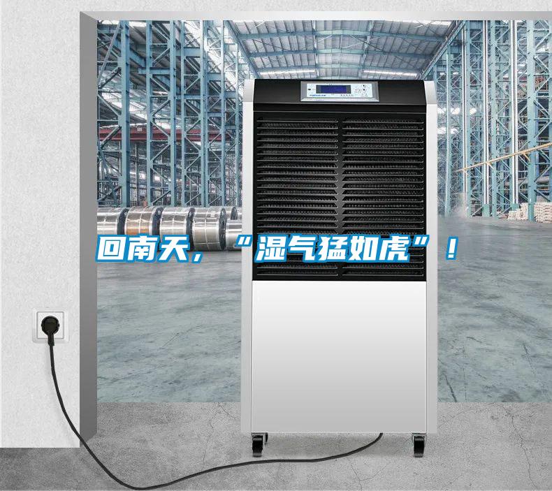 回南天,“濕氣猛如虎”!