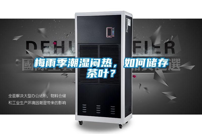 梅雨季潮濕悶熱,如何儲(chǔ)存茶葉?
