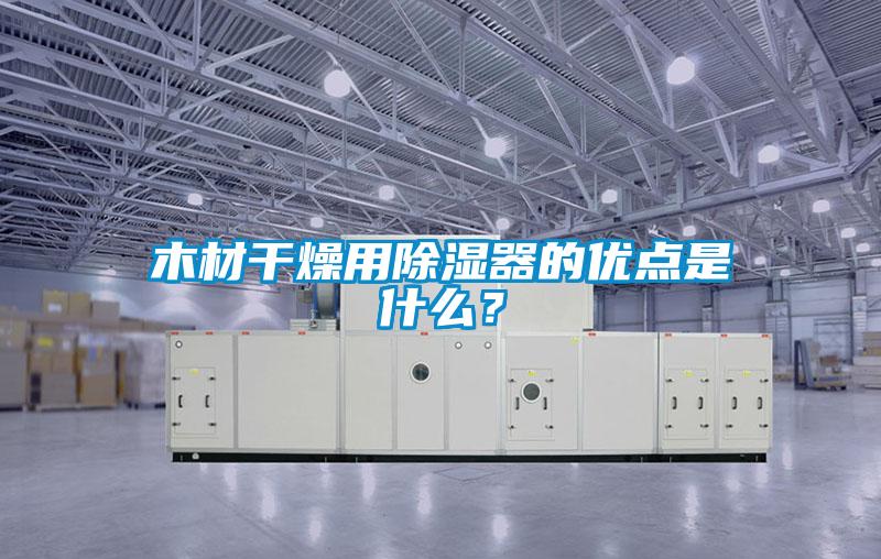 木材干燥用除濕器的優點是什么?