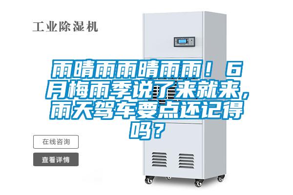 雨晴雨雨晴雨雨！6月梅雨季說了來就來，雨天駕車要點還記得嗎？
