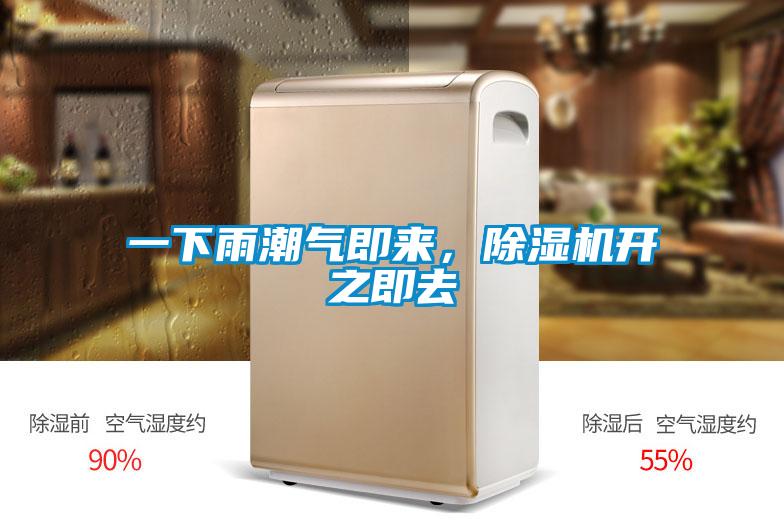 一下雨潮氣即來,除濕機(jī)開之即去