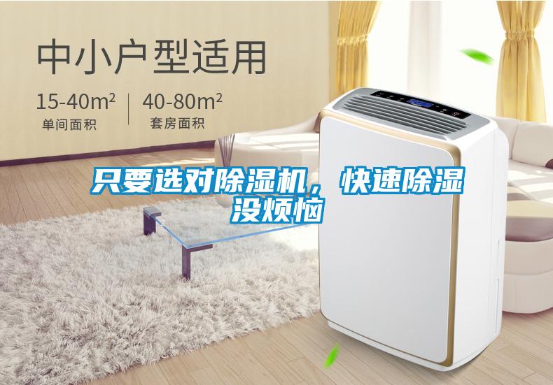 只要選對除濕機，快速除濕沒煩惱