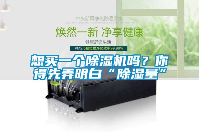 想買一個除濕機嗎？你得先弄明白“除濕量”