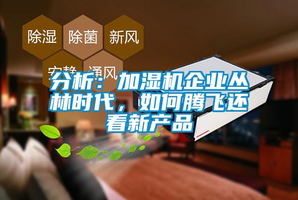 分析:加濕機(jī)企業(yè)叢林時(shí)代,如何騰飛還看新產(chǎn)品