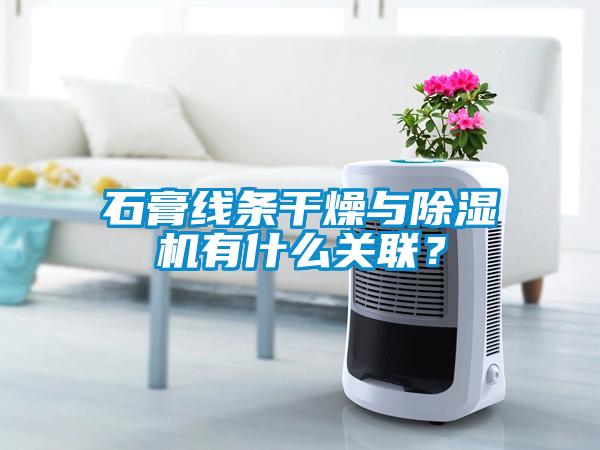 石膏線條干燥與除濕機有什么關(guān)聯(lián)?