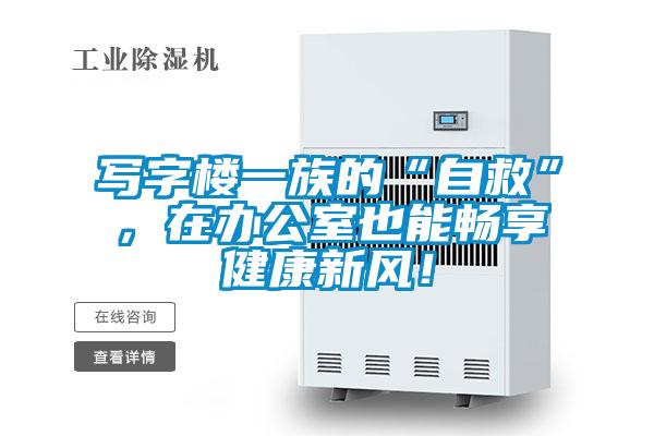 寫字樓一族的“自救”,在辦公室也能暢享健康新風(fēng)!