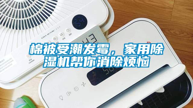 棉被受潮發霉,家用除濕機幫你消除煩惱
