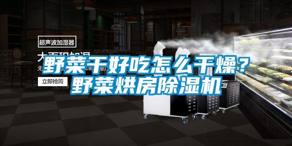野菜干好吃怎么干燥?野菜烘房除濕機(jī)