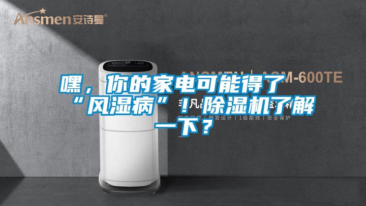 嘿,你的家電可能得了“風(fēng)濕病”!除濕機(jī)了解一下?
