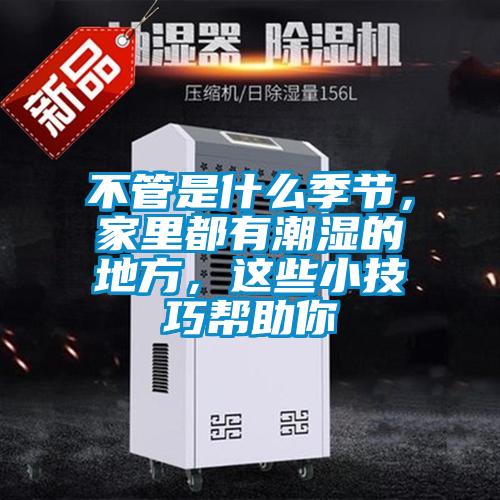 不管是什么季節，家里都有潮濕的地方，這些小技巧幫助你