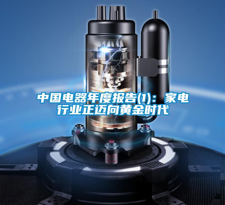 中國電器年度報告(1):家電行業(yè)正邁向黃金時代