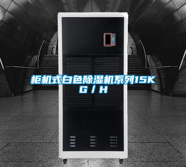 柜機式白色除濕機系列15KG/H