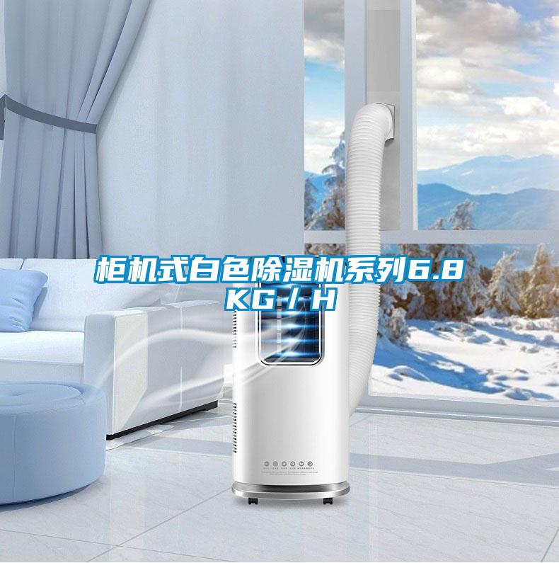 柜機式白色除濕機系列6.8KG/H
