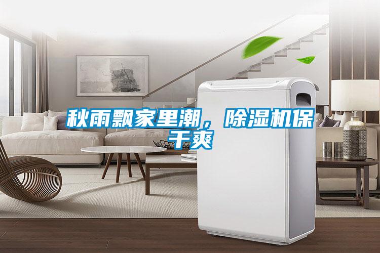 秋雨飄家里潮,除濕機(jī)保干爽