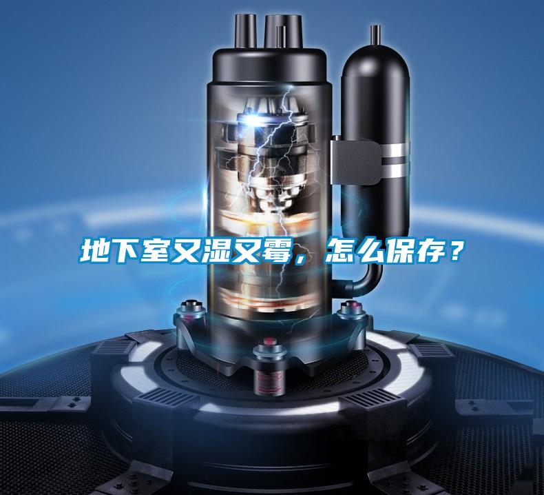 地下室又濕又霉,怎么保存?