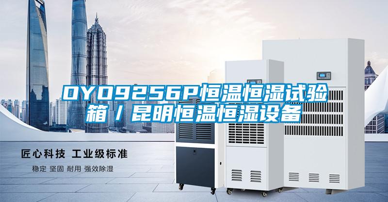 OYO9256P恒溫恒濕試驗箱/昆明恒溫恒濕設(shè)備