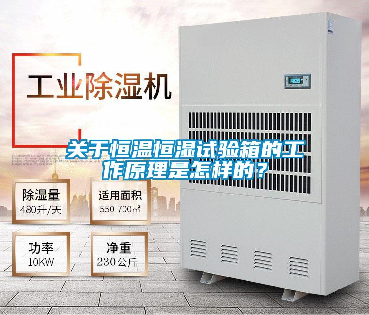 關于恒溫恒濕試驗箱的工作原理是怎樣的？