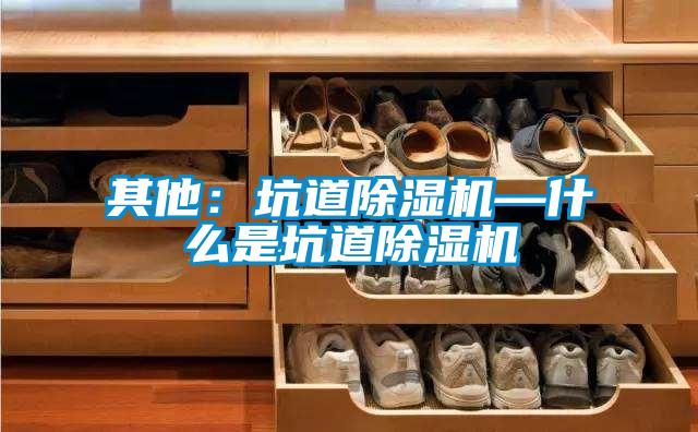 其他:坑道除濕機—什么是坑道除濕機
