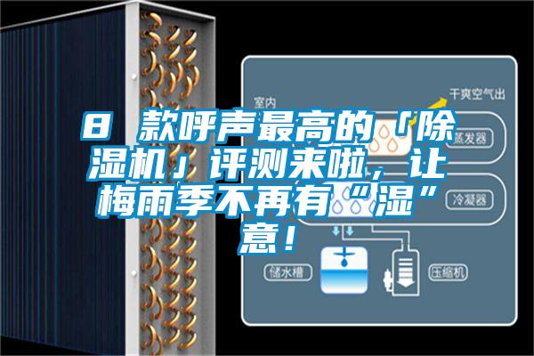 8 款呼聲最高的「除濕機(jī)」評測來啦,讓梅雨季不再有“濕”意!