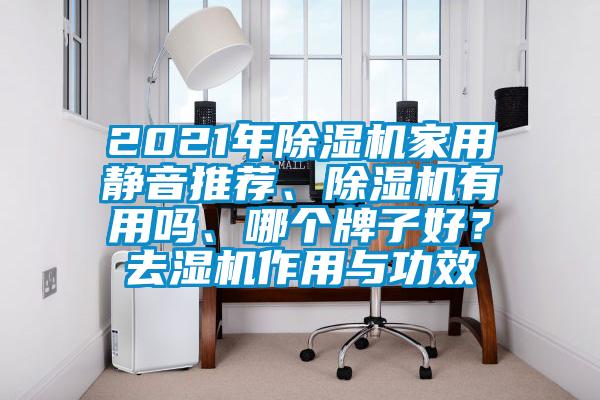 2021年除濕機家用靜音推薦、除濕機有用嗎、哪個牌子好？去濕機作用與功效