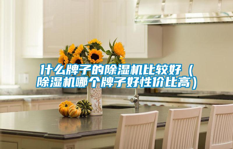 什么牌子的除濕機(jī)比較好(除濕機(jī)哪個(gè)牌子好性價(jià)比高)