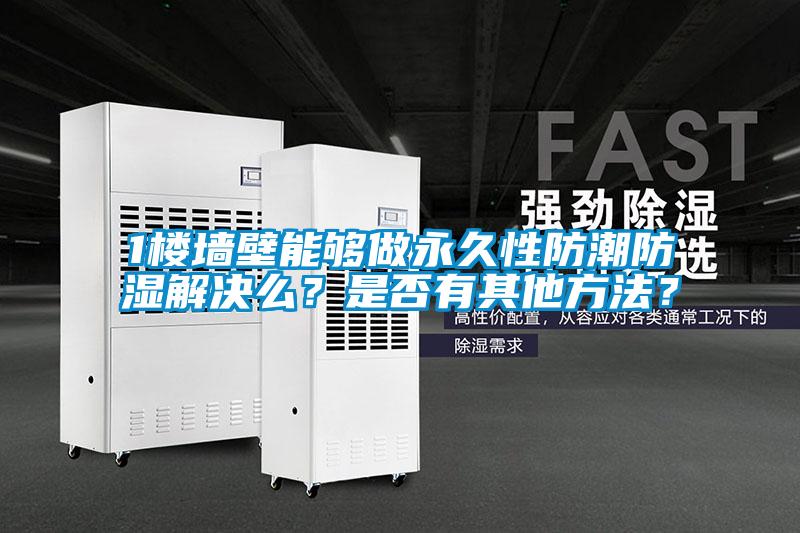 1樓墻壁能夠做永久性防潮防濕解決么？是否有其他方法？