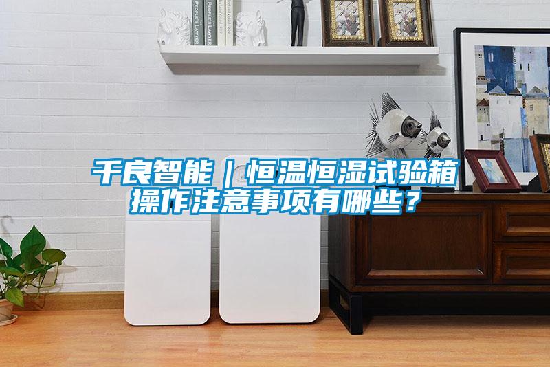 千良智能|恒溫恒濕試驗箱操作注意事項有哪些?