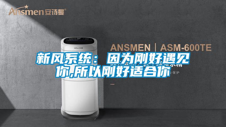 新風(fēng)系統(tǒng):因?yàn)閯偤糜鲆娔?所以剛好適合你
