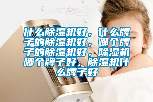 什么除濕機好，什么牌子的除濕機好，哪個牌子的除濕機好，除濕機哪個牌子好，除濕機什么牌子好