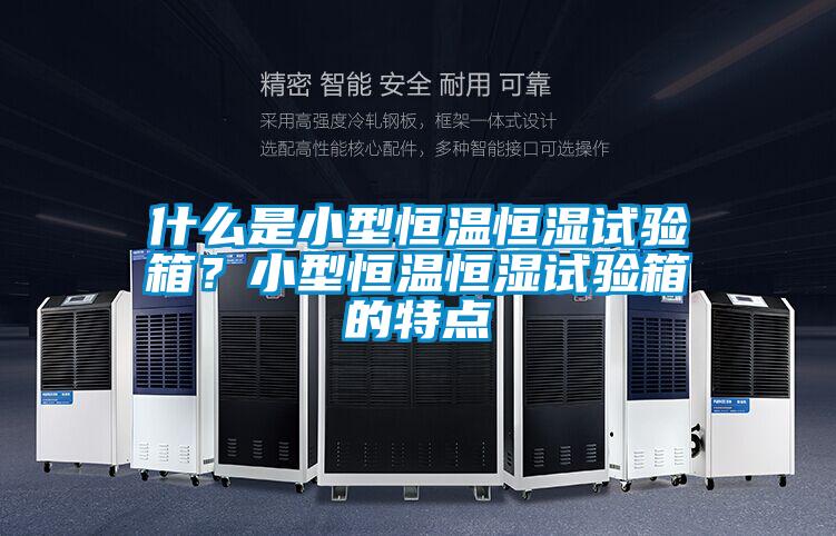什么是小型恒溫恒濕試驗箱?小型恒溫恒濕試驗箱的特點