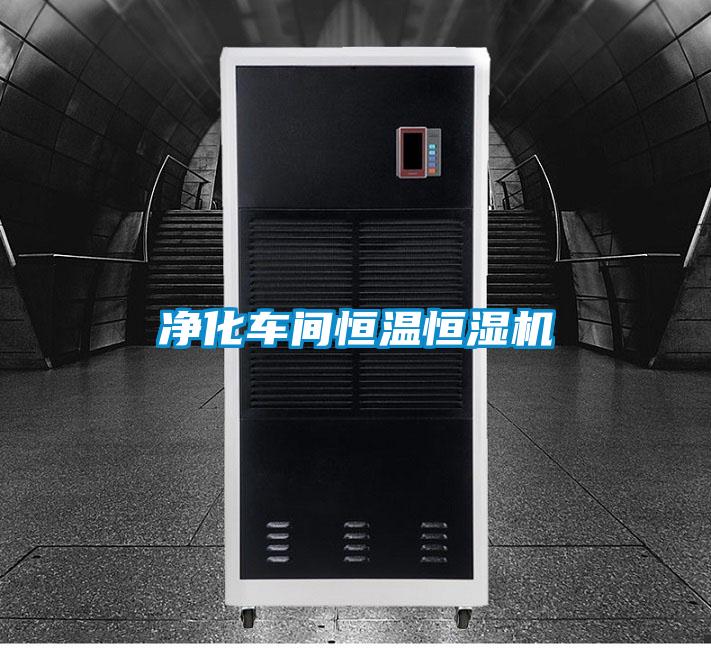 凈化車(chē)間恒溫恒濕機(jī)